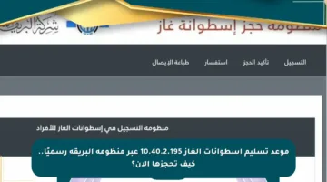 موعد تسليم أسطوانات الغاز 10.40.2.195 عبر منظومة البريقة رسميًا.. كيف تحجزها الآن؟